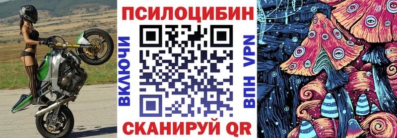 Купить закладки  Новочеркасск  Галлюциногенные грибы мицелий 